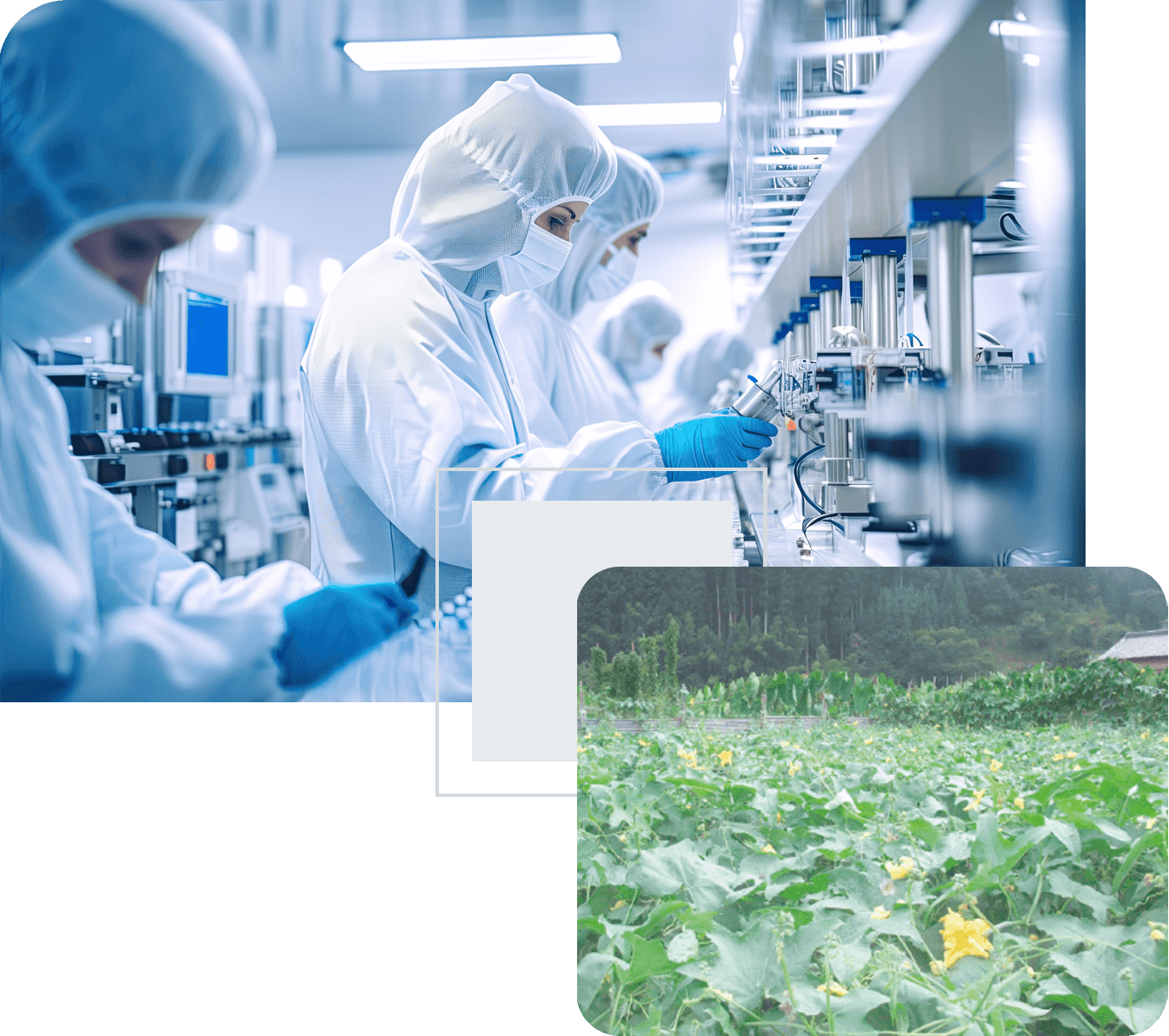 クリーンルームと畑を組み合わせた画像
